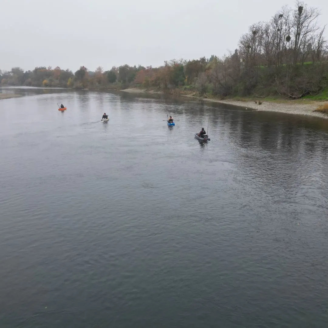 Wide view of multiple FluxJet kayaks spaced across a calm river, with riders traveling upriver surrounded by autumn trees and an overcast sky.